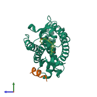 PDB entry 7oxz coloured by chain, side view.