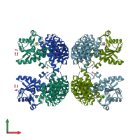 PDB entry 7p0h coloured by chain, front view.