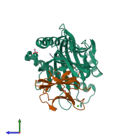 PDB entry 7p3d coloured by chain, side view.