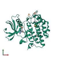 Monomeric assembly 1 of PDB entry 7p7f coloured by chemically distinct molecules, front view.