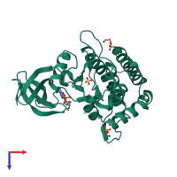 Monomeric assembly 1 of PDB entry 7p7f coloured by chemically distinct molecules, top view.