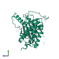 Casein kinase I isoform delta in PDB entry 7p7f, assembly 2, side view.
