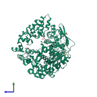 PDB entry 7phy coloured by chain, side view.