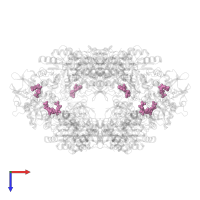 GUANOSINE-5'-DIPHOSPHATE in PDB entry 7pji, assembly 1, top view.