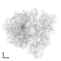 Large ribosomal subunit protein bL25 in PDB entry 7pjz, assembly 1, front view.