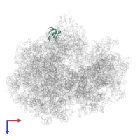 Large ribosomal subunit protein bL25 in PDB entry 7pjz, assembly 1, top view.