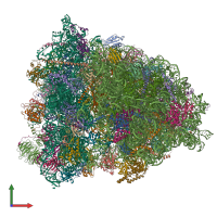 PDB entry 7qgg coloured by chain, front view.