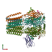 PDB entry 7qnb coloured by chain, front view.