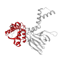 The deposited structure of PDB entry 7r4l contains 1 copy of Pfam domain PF01513 (ATP-NAD kinase N-terminal domain) in NAD kinase 2, mitochondrial. Showing 1 copy in chain A.