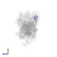 Small ribosomal subunit protein uS11 in PDB entry 7r4x, assembly 1, side view.