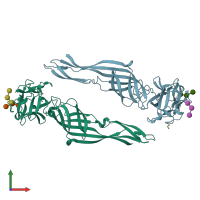 PDB entry 7r55 coloured by chain, front view.
