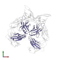 4A11.V2 Fab Heavy Chain in PDB entry 7rco, assembly 1, front view.