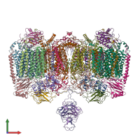 PDB entry 7rh5 coloured by chain, front view.