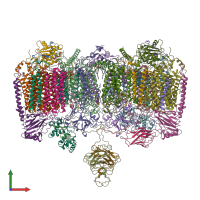PDB entry 7rh6 coloured by chain, front view.
