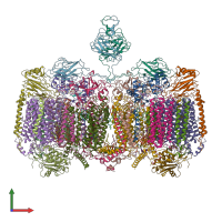PDB entry 7rh7 coloured by chain, front view.
