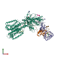 PDB entry 7rhq coloured by chain, front view.