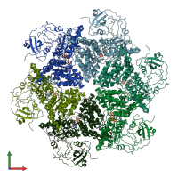 PDB entry 7rlb coloured by chain, front view.