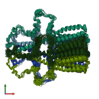 PDB entry 7rpm coloured by chain, ensemble of 15 models, front view.