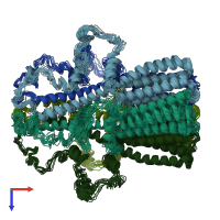 PDB entry 7rpm coloured by chain, ensemble of 15 models, top view.