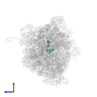 Modified residue 5MC in PDB entry 7rq8, assembly 2, side view.