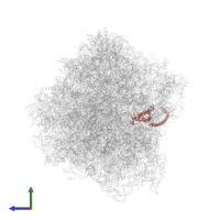 60S ribosomal protein L16-A in PDB entry 7rr5, assembly 1, side view.