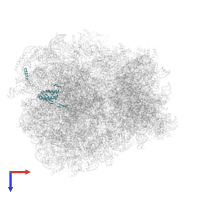 60S ribosomal protein L17-A in PDB entry 7rr5, assembly 1, top view.