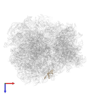 60S ribosomal protein L27 in PDB entry 7rr5, assembly 1, top view.