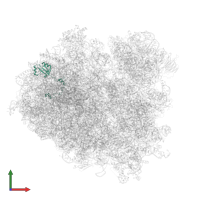 60S ribosomal protein L28 in PDB entry 7rr5, assembly 1, front view.