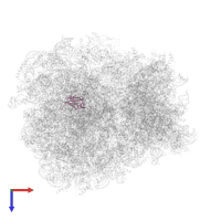 60S ribosomal protein L31-A in PDB entry 7rr5, assembly 1, top view.