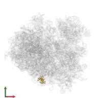 RPL38 isoform 1 in PDB entry 7rr5, assembly 1, front view.