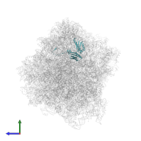 40S ribosomal protein S3 in PDB entry 7rr5, assembly 1, side view.