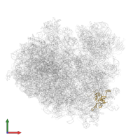 40S ribosomal protein S4 in PDB entry 7rr5, assembly 1, front view.