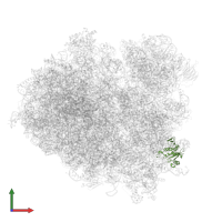 40S ribosomal protein S7 in PDB entry 7rr5, assembly 1, front view.