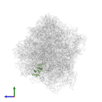 40S ribosomal protein S7 in PDB entry 7rr5, assembly 1, side view.