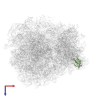 40S ribosomal protein S7 in PDB entry 7rr5, assembly 1, top view.