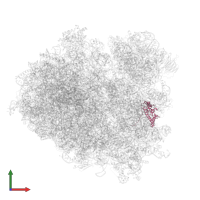 40S ribosomal protein S9-A in PDB entry 7rr5, assembly 1, front view.