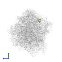 40S ribosomal protein S10-A in PDB entry 7rr5, assembly 1, side view.