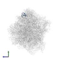 40S ribosomal protein S16-A in PDB entry 7rr5, assembly 1, side view.