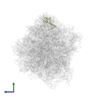 40S ribosomal protein S18-B in PDB entry 7rr5, assembly 1, side view.