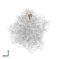 Ribosomal protein S10 domain-containing protein in PDB entry 7rr5, assembly 1, side view.