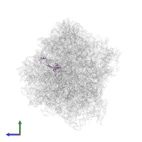 40S ribosomal protein S26 in PDB entry 7rr5, assembly 1, side view.