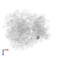 RPS28A isoform 1 in PDB entry 7rr5, assembly 1, top view.