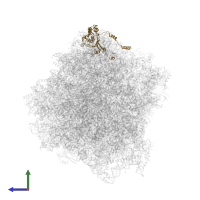 Ribosomal protein L5 eukaryotic C-terminal domain-containing protein in PDB entry 7rr5, assembly 1, side view.