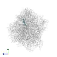 Eukaryotic translation initiation factor 5A in PDB entry 7rr5, assembly 1, side view.