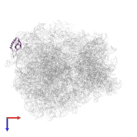 60S ribosomal protein L6 in PDB entry 7rr5, assembly 1, top view.