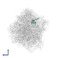 60S ribosomal protein L7-A in PDB entry 7rr5, assembly 1, side view.