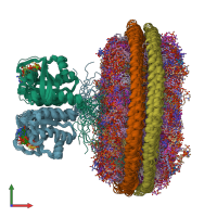 PDB entry 7rsc coloured by chain, ensemble of 20 models, front view.