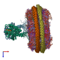 PDB entry 7rsc coloured by chain, ensemble of 20 models, top view.