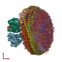 PDB entry 7rse coloured by chain, ensemble of 20 models, front view.