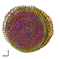 PDB entry 7rse coloured by chain, ensemble of 20 models, side view.